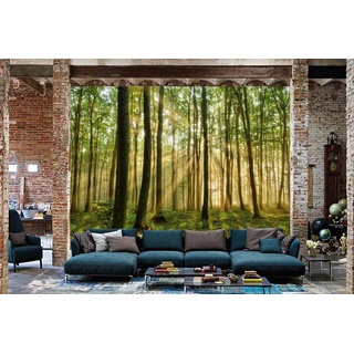 papermoon Vlies- Fototapete Digitaldruck 350 x 260 cm Forest