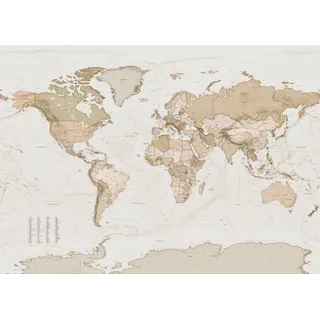 KOMAR Vliestapete "Earth Map" Tapeten 350x250 cm (Breite x Höhe) Gr. B/L: 350 m x 250 m, Rollen: 1 St., braun (braun, weiß) Vliestapeten