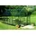 Gewächshaus Alu Grün ESG 3 mm 11,5 m2