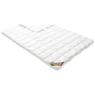 Badenia Trendline Wasch-Seide 135 x 200 cm