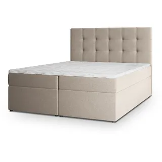 masseno PALMA 140 x 200 cm H2 Beige