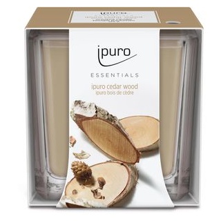 ipuro Duftkerzen Essentials cedar wood, im Glas, 125g