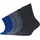 6er Pack blue 31-34