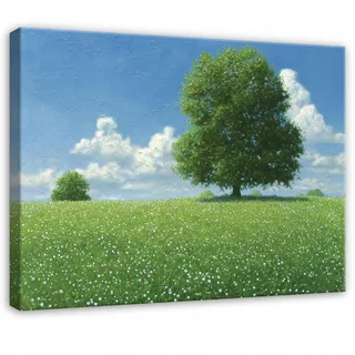 WallArena Leinwandbild Wiese Baum Grün 100x70 cm