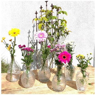 Annastore Dekovase Vasen aus Glas im Vintage Look - Tischvasen Shabby Chic (H 14,8 - 20 cm, 12 St), Blumenvasen, Glasvasen klein, Vasen Tischdeko, Väschen