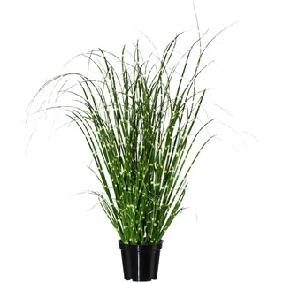 Gasper Künstliches Zebragras Miscanthus Zebrinus im Topf H. 42cm grün