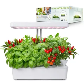 NORTHPOINT Hydroponisches LED Anzuchtsystem Pflanzenlampe Pflanzenleuchte Kräutergarten Innengarten Gewächslampe 22W 1350 Lumen 10 Setzlinge Höhenverstellbar Timer