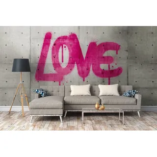 Newroom Vliestapete Love Tapete Wandbild Graffiti,Betonoptik,Schriftzug, [ 2,8 x 3,71 m ] großzügiges Motiv - kein wiederkehrendes Muster - nahtlos große Flächen möglich - Fototapete Wandbild Graffiti Betonoptik Schriftzug Made in Germany, Tapete grau