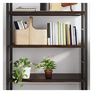 vidaXL Wandregal 100 x 60 x 4 cm Dunkelbraun