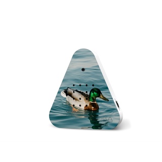 Relaxound Lakesidebox Happy Birds Wild Duck - Limited Edition