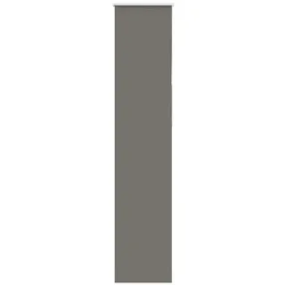 vidaXL Verdunkelungsrollo 50 x 230 cm grau