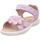 Lila/Pink 31