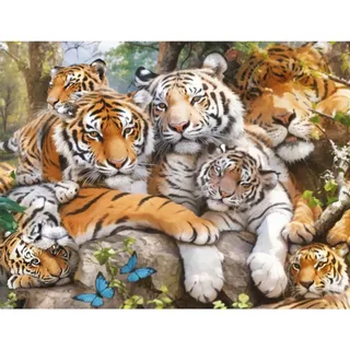 Bimkole DIY 5D Diamond Painting Zubehör Tiger Löwen Leopard, Tier Diamant Malerei Kit Voll Runde Bohrer Malen nach Zahlen Malerei Stickerei Kreuzstich Diamond Dekoration, (40x50 cm)