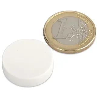 Magnet mit Kunststoffmantel (magnets4you) Neodym-Magnet Ø 22,0 x 6,0 mm |Weiß | Haftkraft: 4,1kg | wasserdichter Magnet, geeignet für den Außenbereicht, rostfreie Magnetscheibe