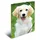 A3 hunde