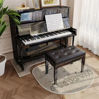 Hixingo Schallschutz Teppich Klavier, Teppich Boden mit Schallschutz für Klavier rutschfest Schallschutzteppich Antivibrationsmatte für Studio, Musikzimmer (Igel,70x160cm)