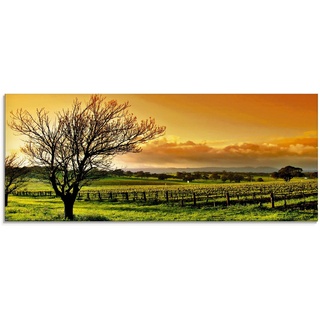 Artland Glasbild »Landschaft mit Weinbergen«, Felder (1 St) orange 125 cm x 50 cm