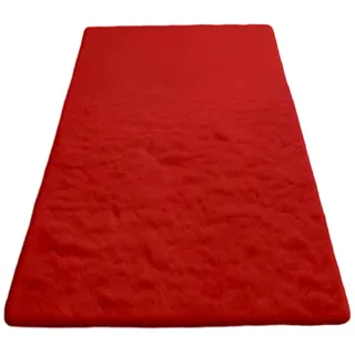 HOCEDO Waschbarer Teppich 220 x 150 cm rutschfest, Warm Halten Vielseitiger Indoor Outdoor-Teppich für Wohnzimmer, Schlafzimmer, Kinderzimmer, Babyzimmer, Rot