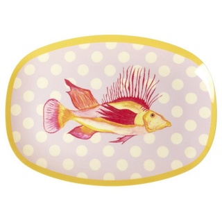 rice Teller Melamin Teller oval 30x22cm Snackteller Käseplatte