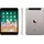 128 GB Wi-Fi + Cellular Space Grau