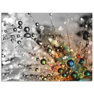 Wandbild ARTLAND "Farbenfrohe Natur", bunt (farbe bild(er): bunt), B:60cm H:45cm, Bilder, als Alubild, Leinwandbild, Poster in verschied. Größen