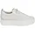 beige 36