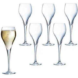 Arcoroc Brio Sektglas 0,16 l 6 St.