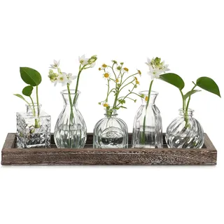 Hewory Kleine Vasen für Tischdeko Esstisch: 5er Mini Vasen Set mit Holztablett für Deko Wohnzimmer - Vintage Kleine Glasvasen Blumenvase Glas für Room Decor Home Zuhause Geburtstag Party