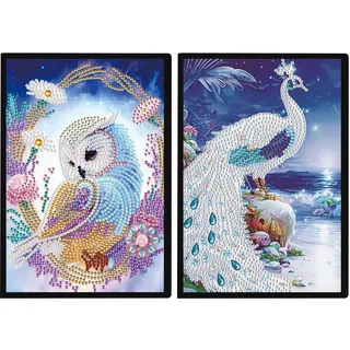 DCIDBEI 2 Pack Diamond Painting Notizbuch Eule Pfau A5 Blanko Diamant Malerei Notizbücher Diamond Painting Tagebuch Mädchen Skizzenbuch Übenheft Notizheft Pfau Eule Erwachsene Babytagebuch 50 Blätter