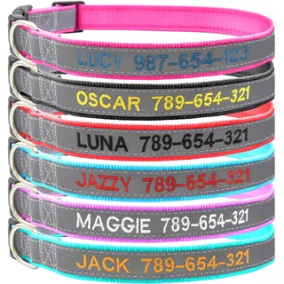 Reflektierendes Hundehalsband Personalisiert, Bestickt mit Namen und Telefonnummer Verstellbar für Extra Klein, Klein Mittel Groß Hunde