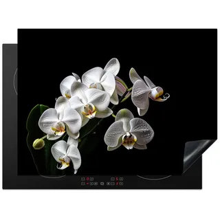 MuchoWow Herd-Abdeckplatte Orchidee - Blumen - Weiß - Natur - Schwarz, Vinyl, (1 tlg), Ceranfeldabdeckung Küche, Herdabdeckplatte Einteilig, 70x52 cm schwarz 70 cm x 52 cm x 0.2 cm