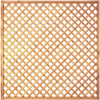 Tetzner & Jentzsch Sichtschutzelement 180 x 180 cm Grün Holz