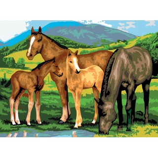 Magni Malen nach Zahlen - Junior "Pferde", DIY Bild ca. 40 x 32,5 cm groß, inkl. 7 Acryl-Farben, Pinsel un