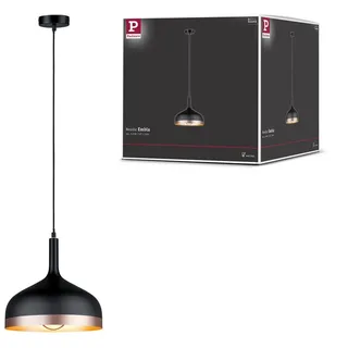 Paulmann Neordic Embla (79629)