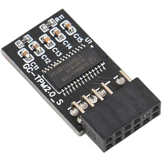 Annadue TPM 2.0-Modul Verschlüsselungssicherheitsmodul LPC 12-poliges Modul Kompatibel mit Remote-Karte LCP SPI TPM2.0-Modul 12-polig für -Motherboards