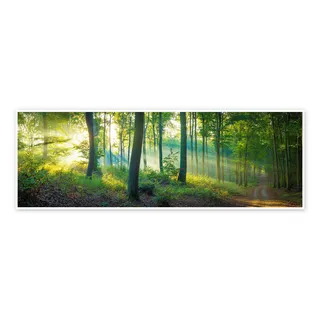 Wald Panorama Poster | 120 x 40 cm von Martin Wasilewski Grün Wandbilder Wanddeko