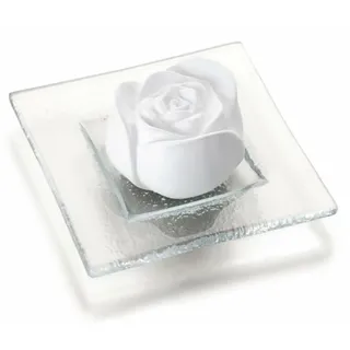 Primavera Aroma Duftstein Rosenblüte 2 STK - Keramik, Glasteller - Duftträger für ätherische Öle und Duftmischungen - Raumduft, Diffusor - Aromatherapie