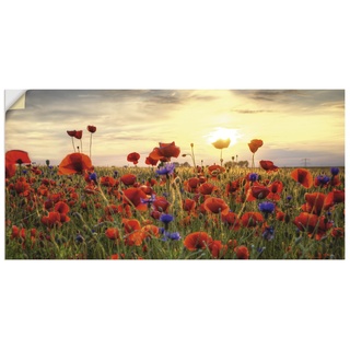 ARTland Wandbild selbstklebend Vinylfolie 100x50 cm Blumenbilder Mohnblumen Natur Sonnenuntergang Blumenwiese Landschaft J8SM