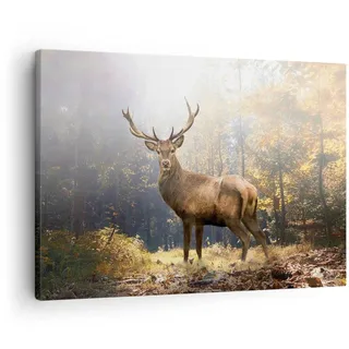 ARTTOR Bilder auf Leinwand 70x50cm Wandbild Wald Natur - 4452 | Licht Reh Klein Wanddekoration Wohnzimmer Schlafzimmer Küche Wanddeko Wand Kunstdruck Wandkunst Wall Decor ARTTOR