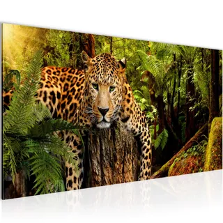 Runa Art Wandbild Afrika Leopard 1 Teilig 100 x 40 cm Modern Bild auf Vlies Leinwand Raubkatze Dschungel Wohnzimmer Schlafzimmer Bunt 003512a