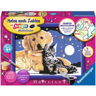 Ravensburger Malen nach Zahlen - Funklender Sternenhimmel