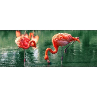 Pro-Art gla1134o Wandbild Glas-Art 'Flamingo I' 125 x 50 cm