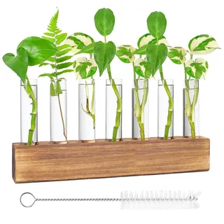 Nizirioo Reagenzglas Vase, Blumenvase Kleine Vasen Glas Reagenzgläser Modern Glasvase Mit Holzständer Reinigungsbürste Glas Pflanzer Für Blumen, Für Hydrokultur Pflanzen Home Office Decor(8 Rohr)