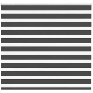 vidaXL Doppelrollo Zebrarollo 155 x 150 cm schwarz