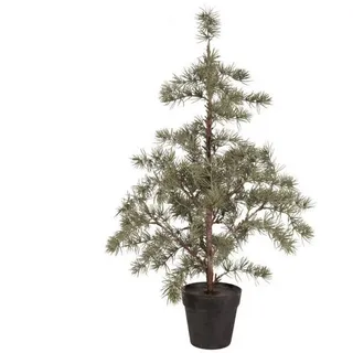 ib laursen Zederbaum 80 cm grün