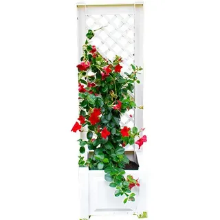 KHW Pflanzkasten mit Spalier 43 x 43 x 140 cm Weiß