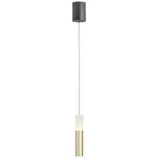 Helestra LIDOS 1-flammig 16 cm rund / Schwarz/Gold