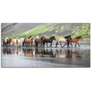 Wandbild ARTLAND "Isländische Pferde XIV" Bilder Gr. B/H: 100 cm x 50 cm, Leinwandbild Haustiere Querformat, 1 St., beige (naturfarben) Kunstdrucke