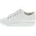 white 42