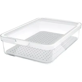 Rotho Frischhaltedose Cauma transparent 28,2 cm 2,6 l